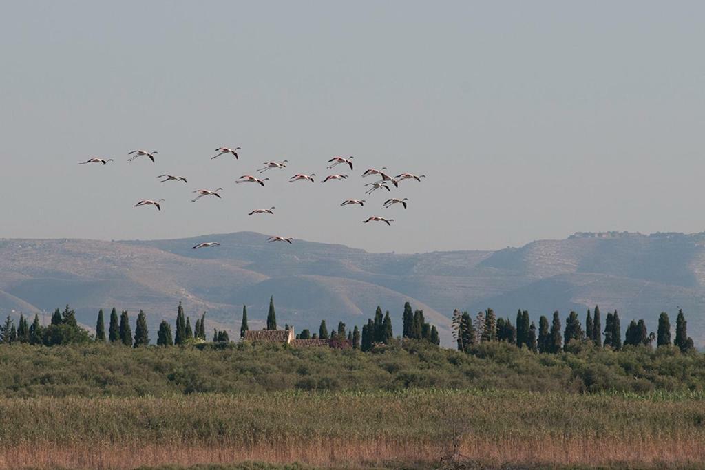 Arenaria B&B Avola Dış mekan fotoğraf